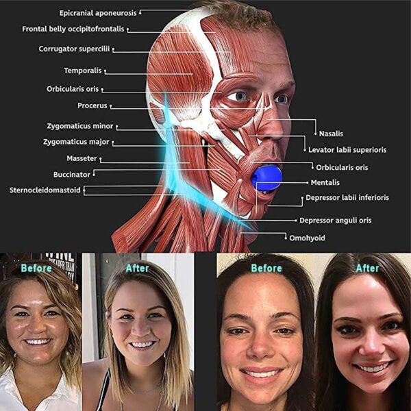 ⁦كرة اللياقة البدنية مدرب عضلات الوجه مدرب الفك جهاز تمرين الوجه الرقبة مدرب الفك سيليكون ( 40 رطل)⁩ - الصورة ⁦4⁩